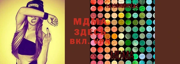 индика Алзамай