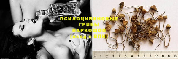 индика Алзамай