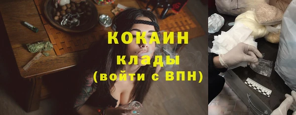 индика Алзамай
