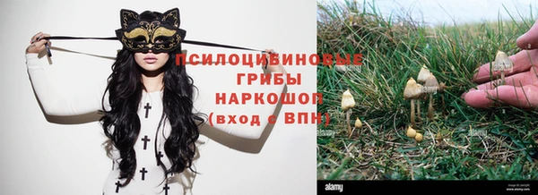 индика Алзамай
